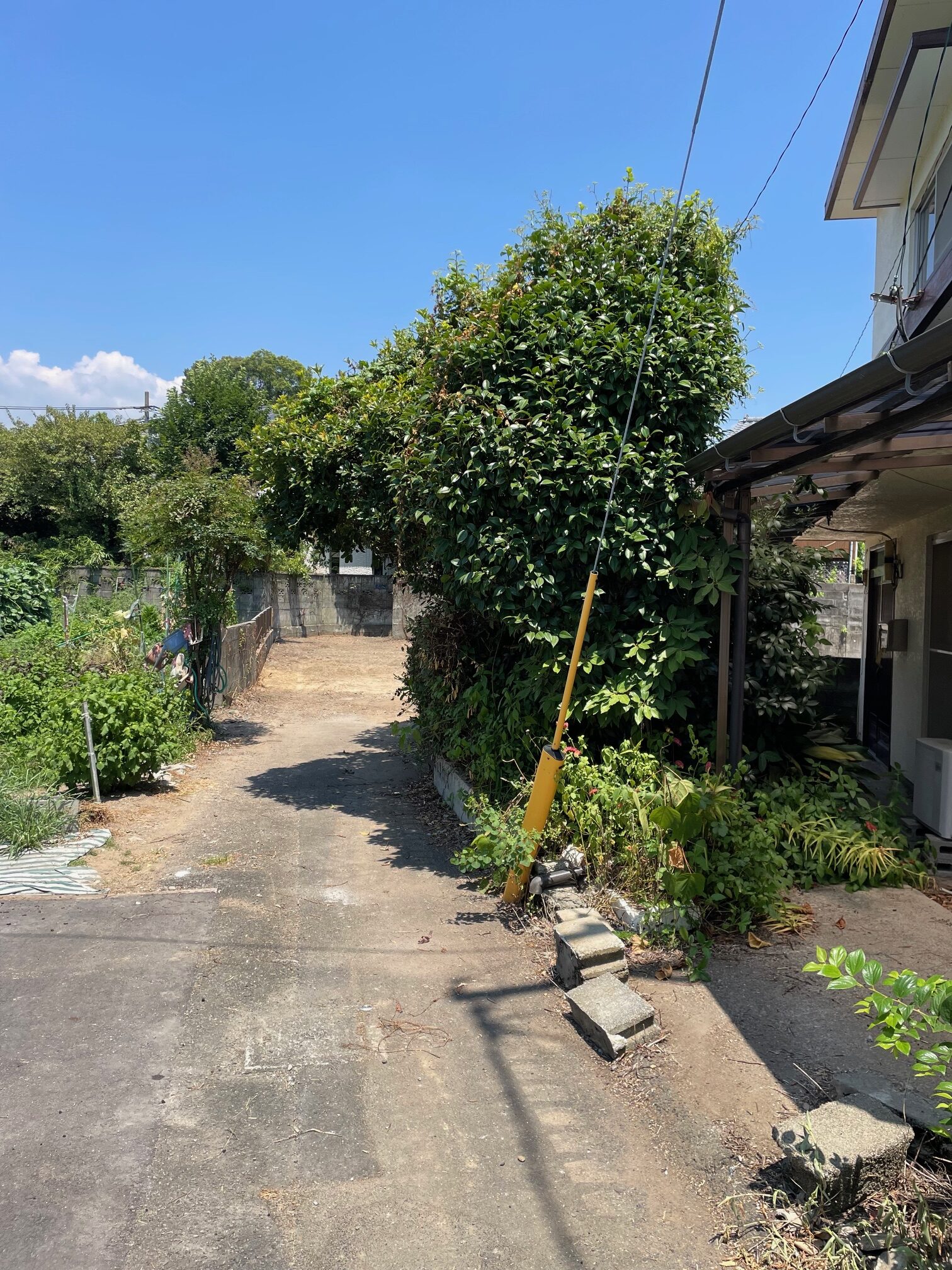 施行事例4